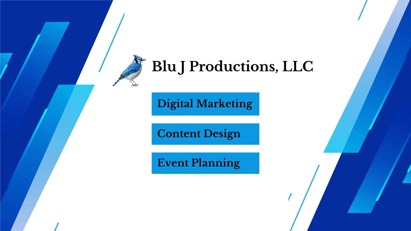 Blu J Productions, LLC - Digital Marketing, Content Design and Event Planning Company